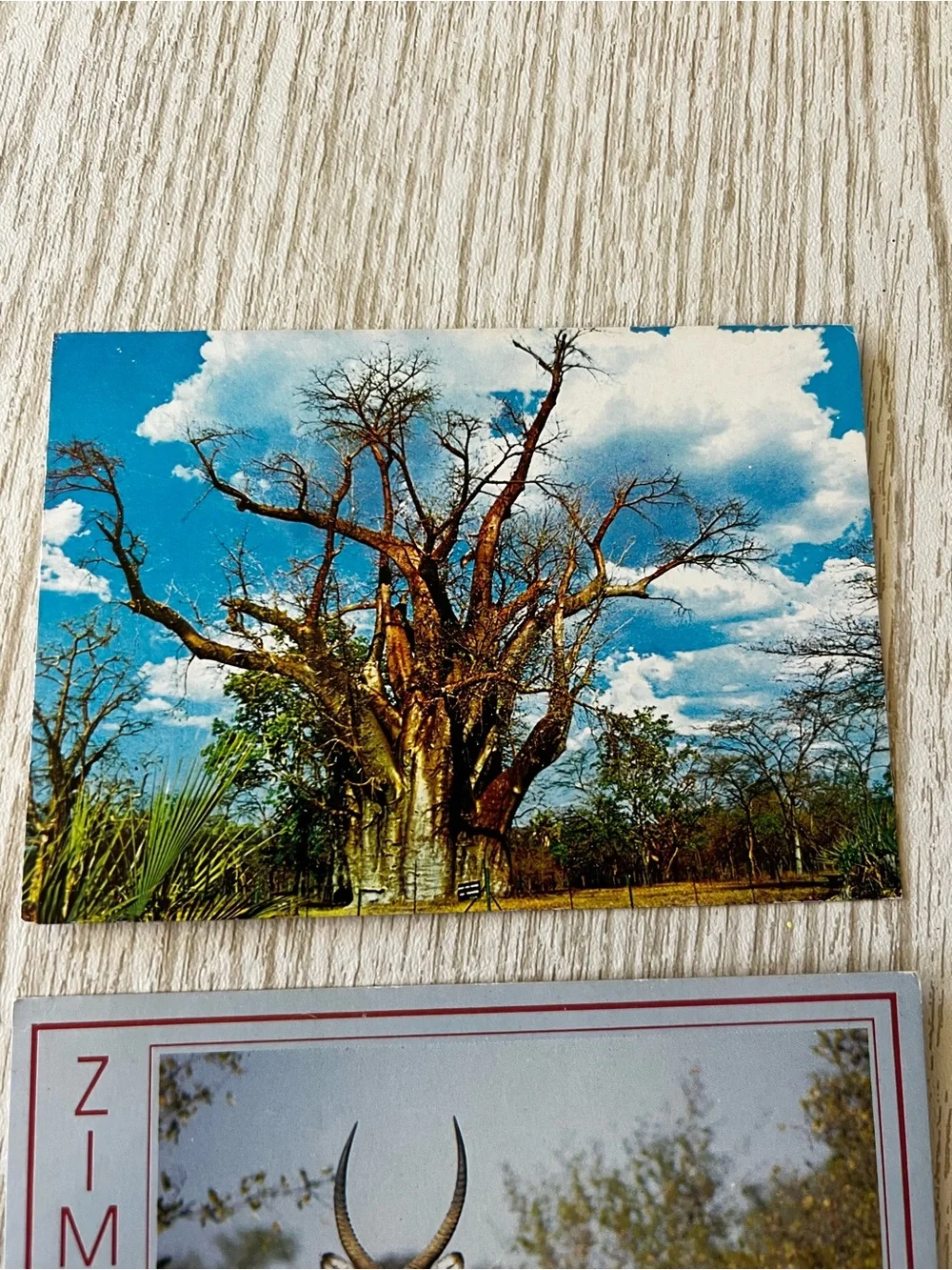 Set of 6 Vintage African Zimbabwe Post Cards
